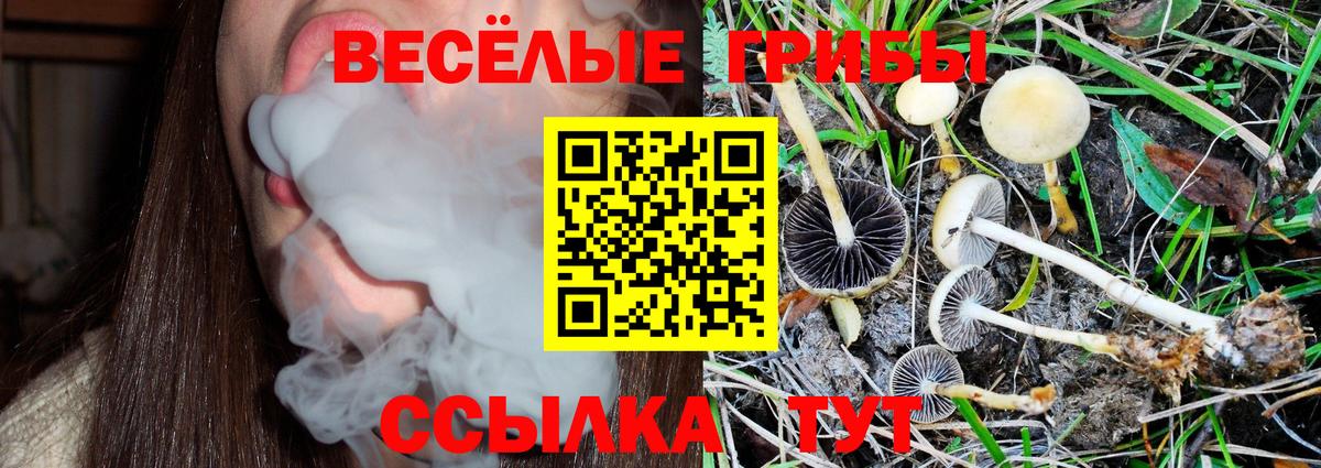 Галлюциногенные грибы мицелий Калуга
