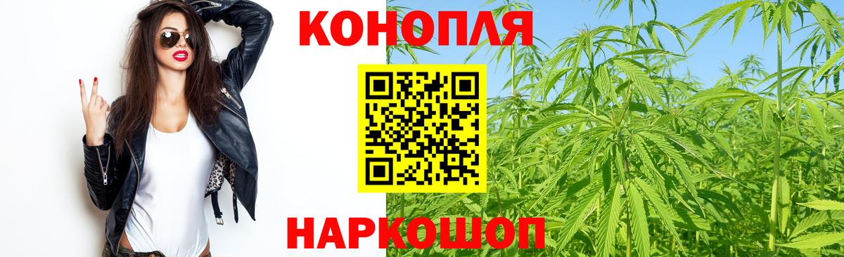 Канабис сатива Калуга